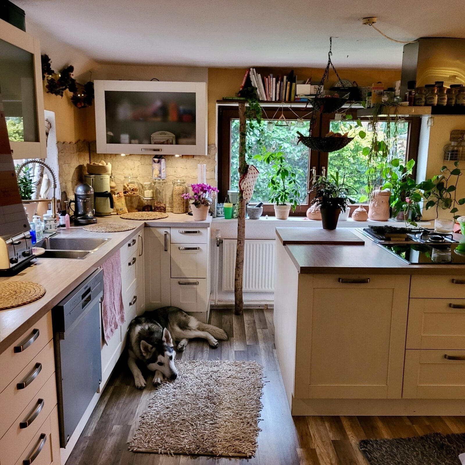 VERKAUFT // Villa Kunterbunt - umfassend sanierungsbedürftiges Wohnhaus nahe der Eider *mit Einliegerwohnung, Kaminofen ...*