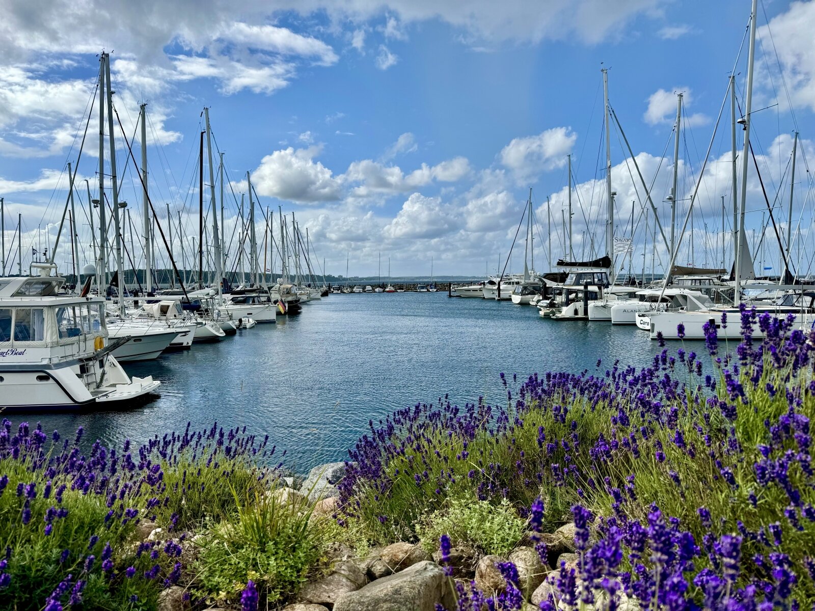 Investorentraum mit Perspektive: 12 Wohneinheiten mit attraktivem Wertsteigerungspotential