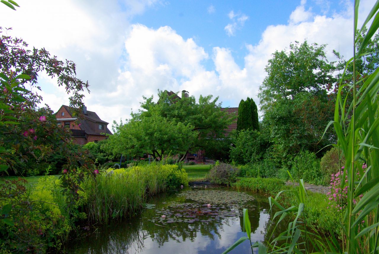 Südansicht mit Gartenteich