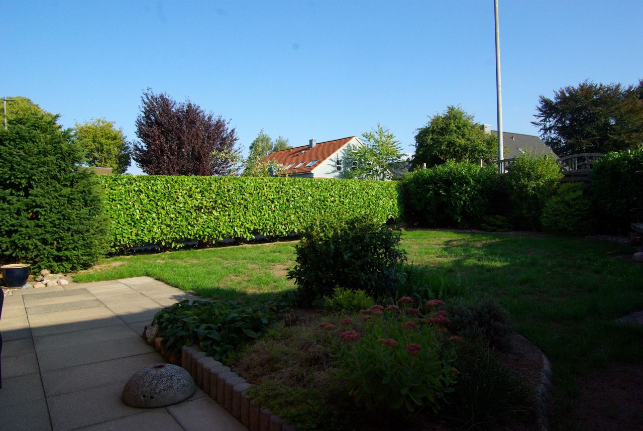 Garten auf der Ostseite Garten auf der Ostseite