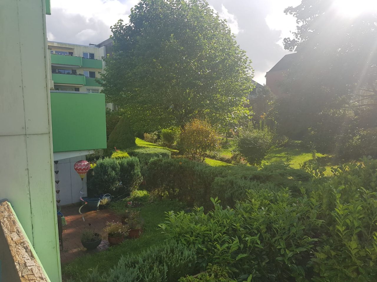 Blick ins Grüne Blick ins Grüne