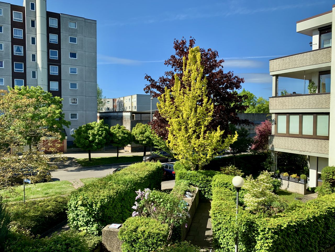 Aussicht aus dem Wintergarten Aussicht aus dem Wintergarten