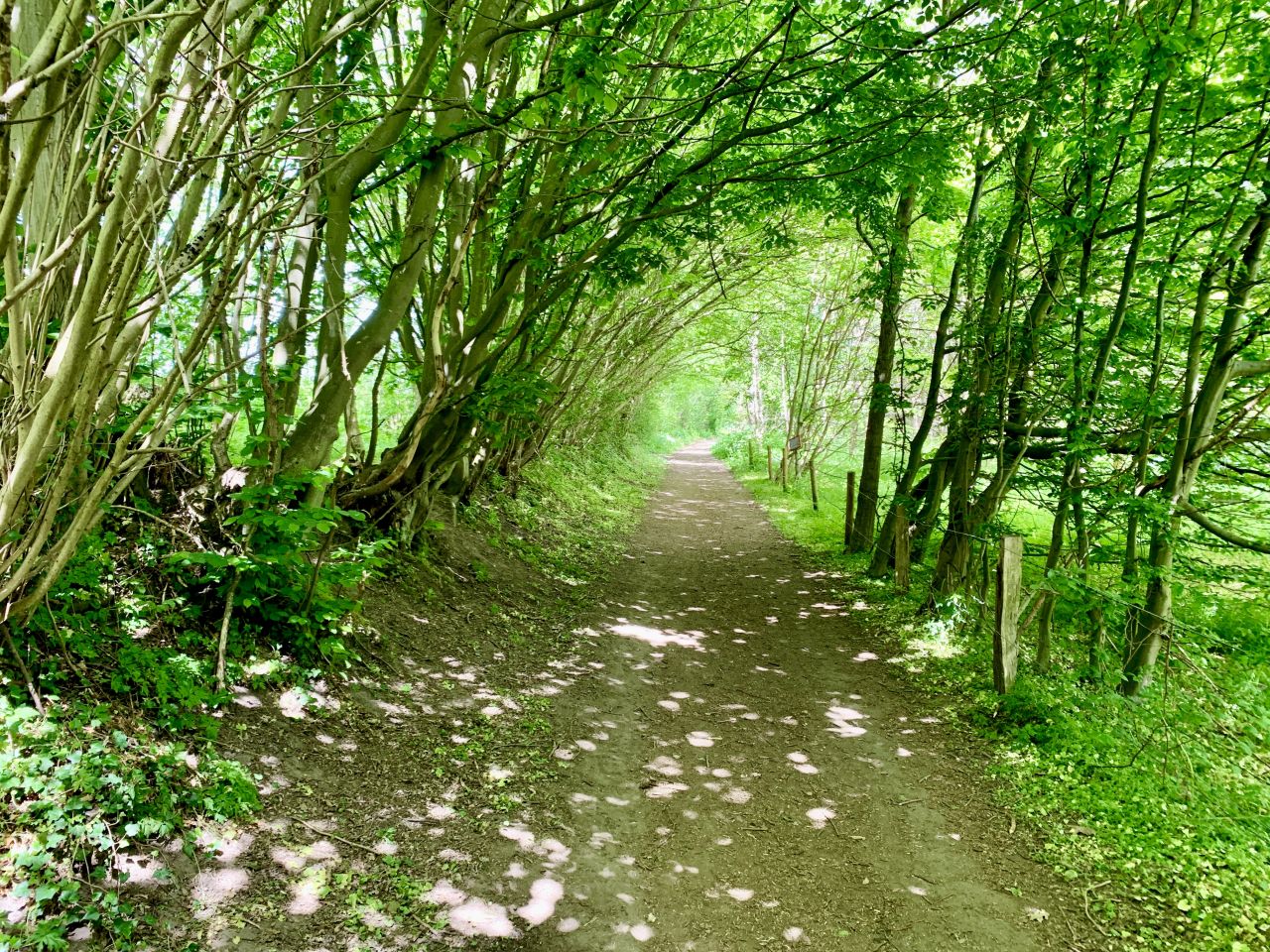 Wanderweg Wanderweg