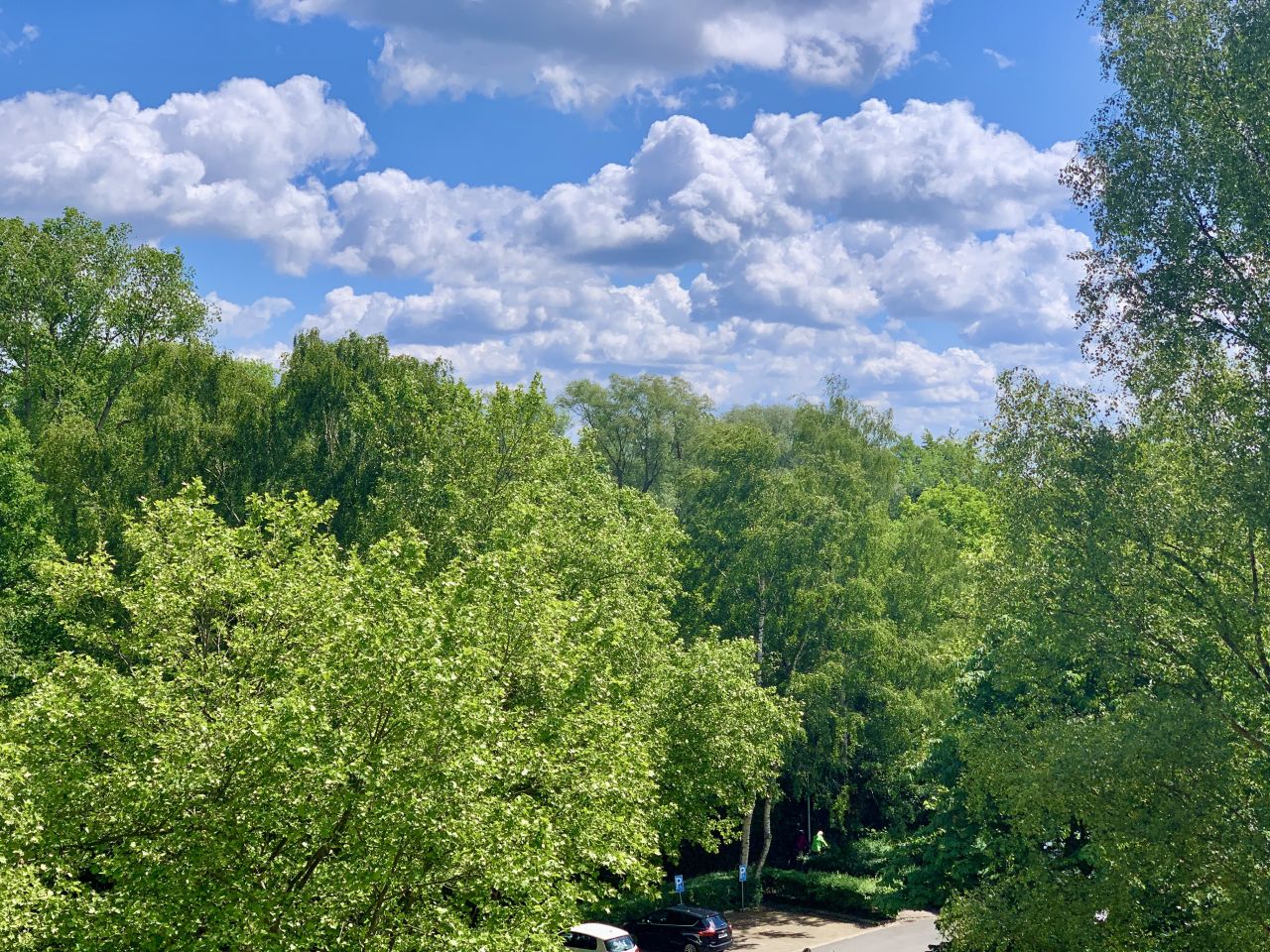 Ausblick vom Ostbalkon