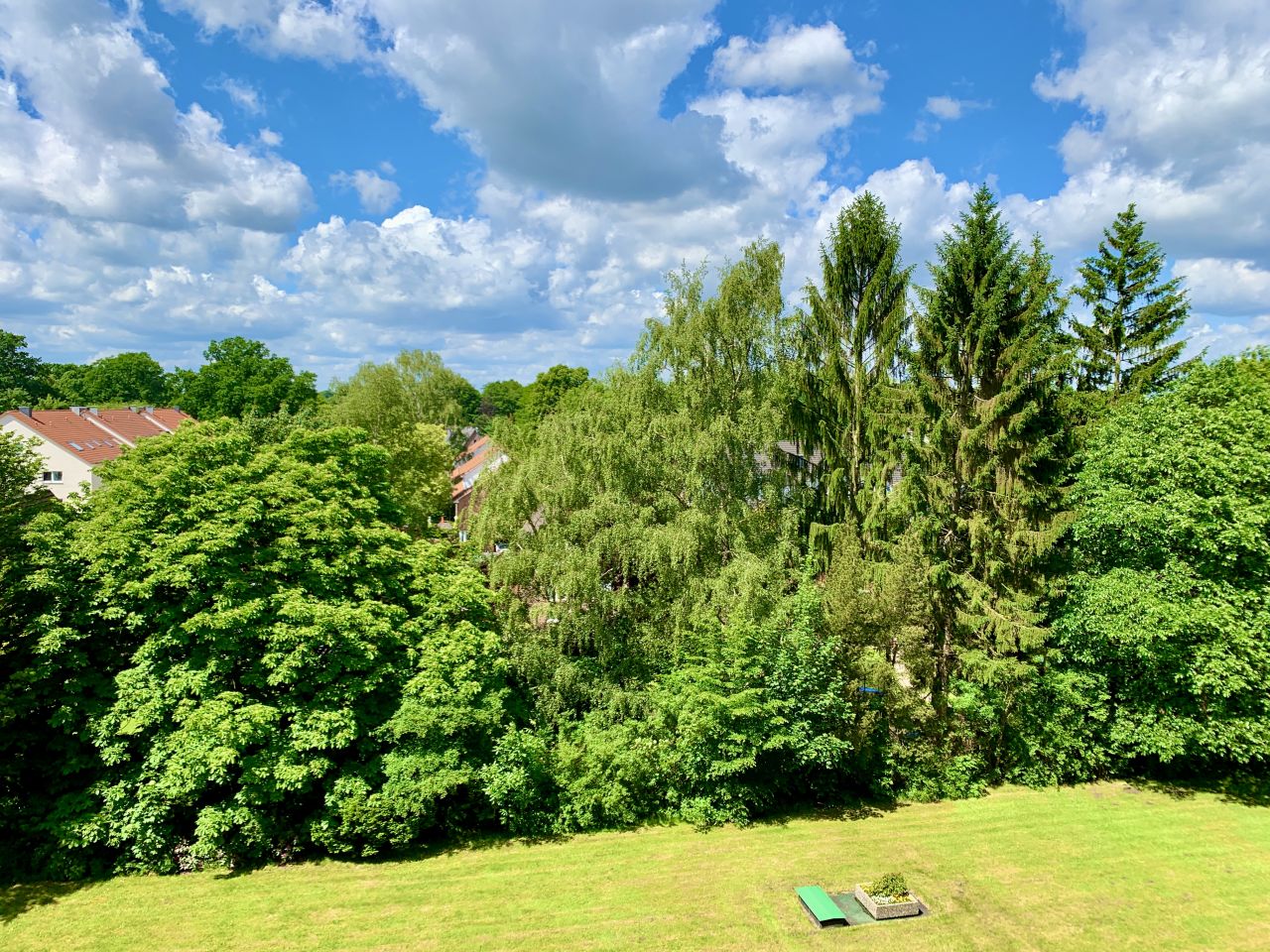 Ausblick ins Grüne