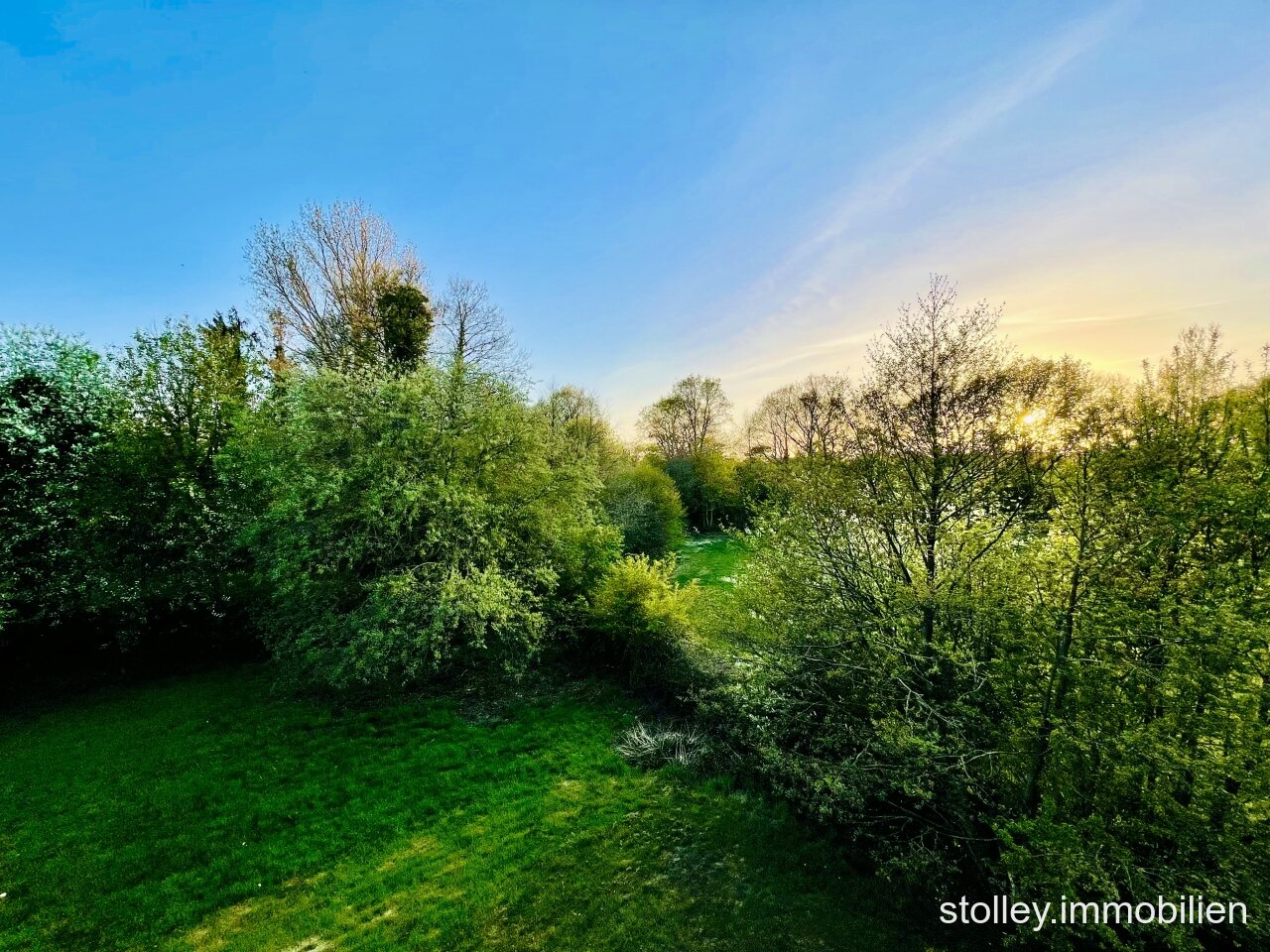 wundervoller Ausblick ins Grüne