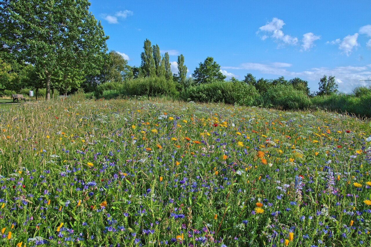 Naturnahes Wohnen