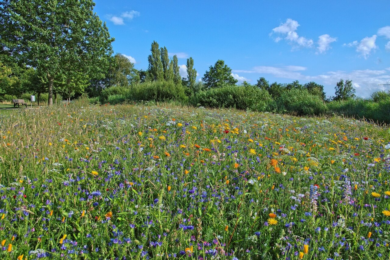 Naturnahes Wohnen Naturnahes Wohnen