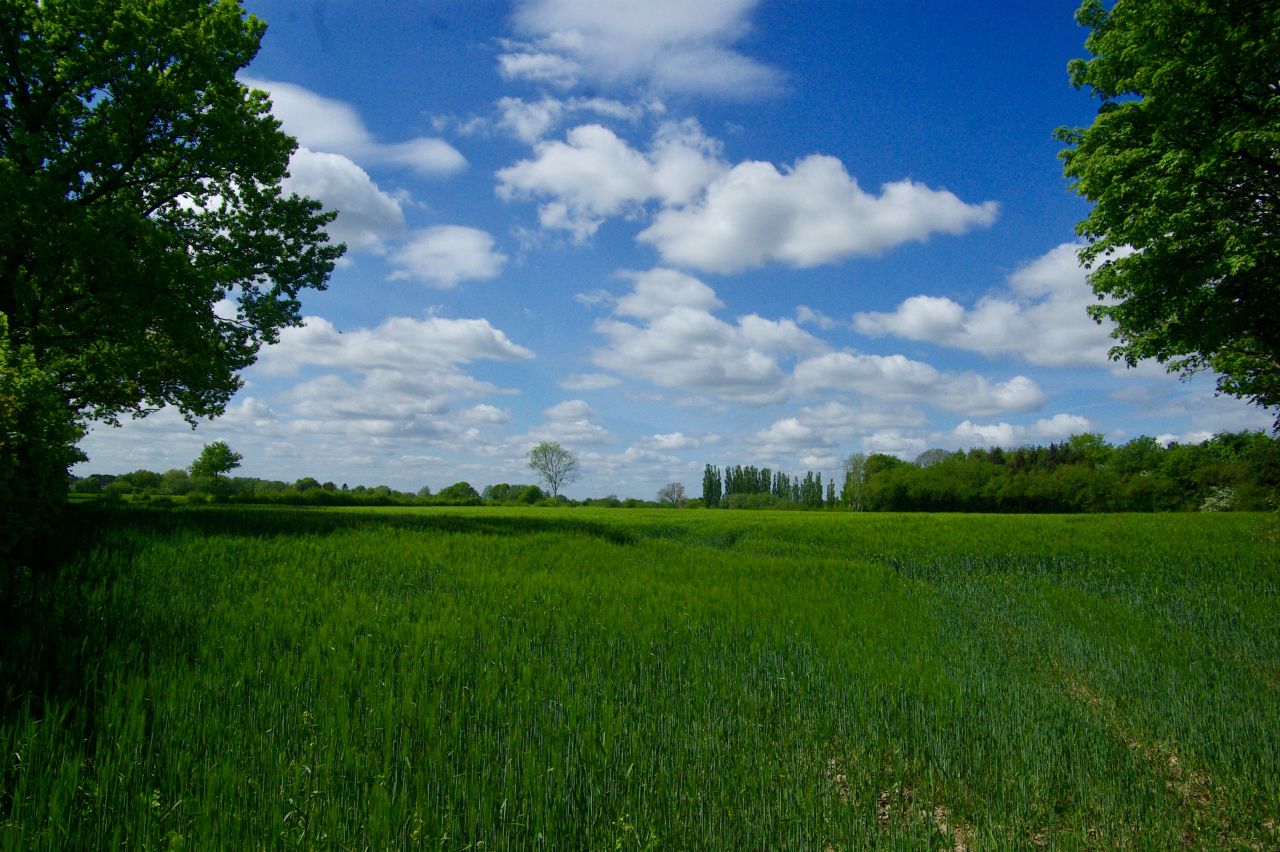 Natur direkt vor der Tür Natur direkt vor der Tür