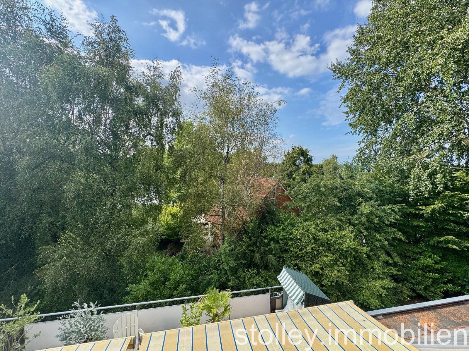 Blick ins Grüne Blick ins Grüne